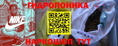 apvp Пушкино