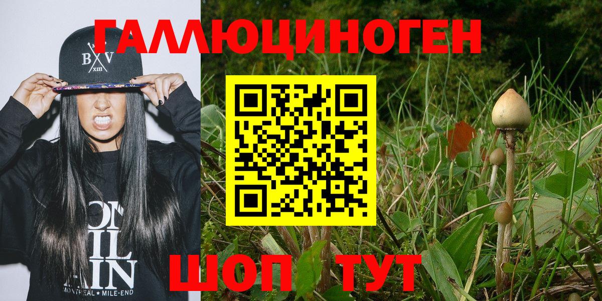Псилоцибиновые грибы ЛСД Новый Уренгой
